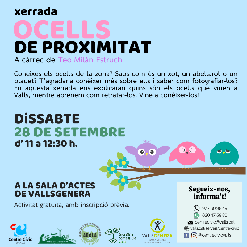 Ocells de proximitat T24